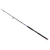 Daiwa Beefstick Boat Fishing Rod