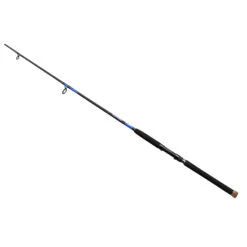 Daiwa Beefstick Boat Fishing Rod