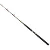 Sabre Chaser Saltwater Casting Rod