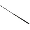 Shakespeare Tidewater Saltwater Casting Rod