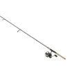 Daiwa Offshore System Saltwater Spinning Combo