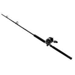 PENN Rival Level-Wind Combo