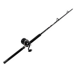 PENN Rival Level-Wind Combo -Sports - Fishing 0955 13326 0013 032 zoom 71