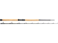 Boat Rod Westin W4