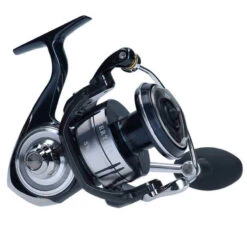 DAIWA 21 Certate SW Sea Fishing Reel -Sports - Fishing 50c89d3def04ce6d