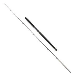 PENN Regiment III Solid Carbon Boat Rod 2,40m (20-30lb) -Sports - Fishing a163d5eae122dc82