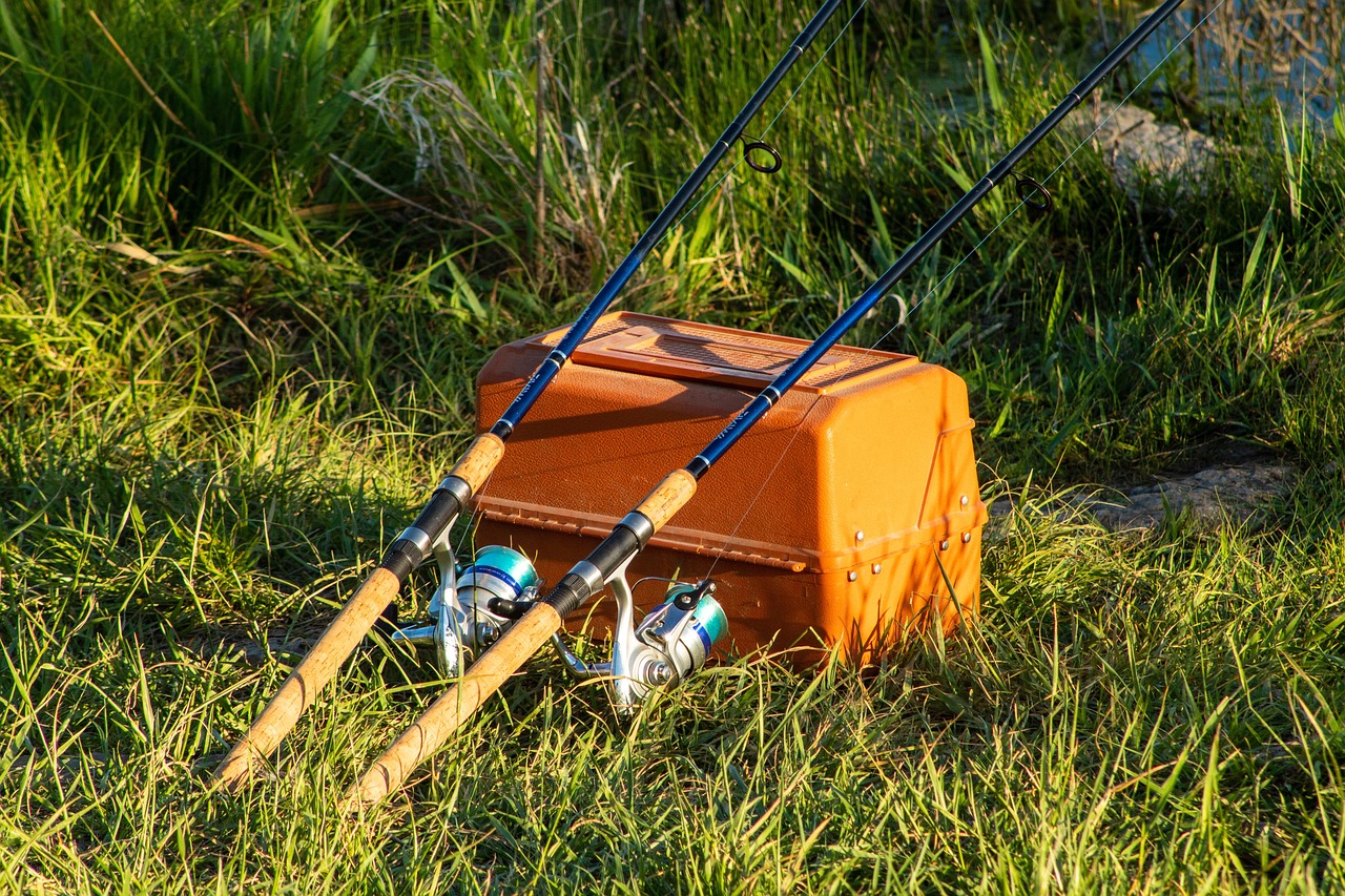 Sports - Fishing 1 Sports - Fishing -Sports - Fishing fishing poles 5131482 1280